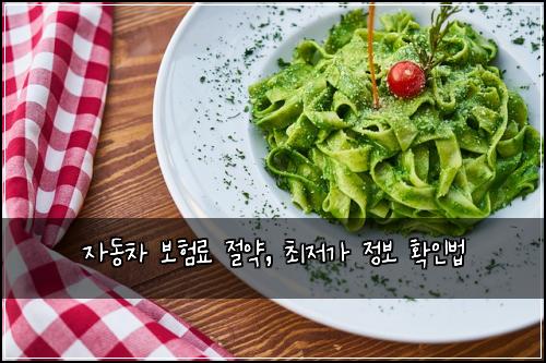 자동차 보험료 절약, 최저가 정보 확인법