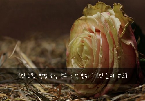 토익 독학 방법 토익 점수 인정 범위 : 토익 문제 #127