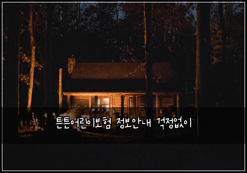 튼튼어린이보험 정보안내  걱정없이