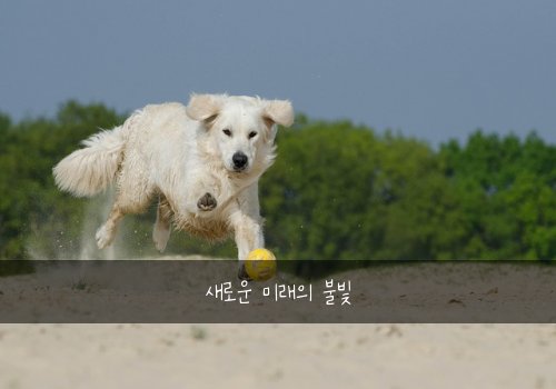 새로운 미래의 불빛
