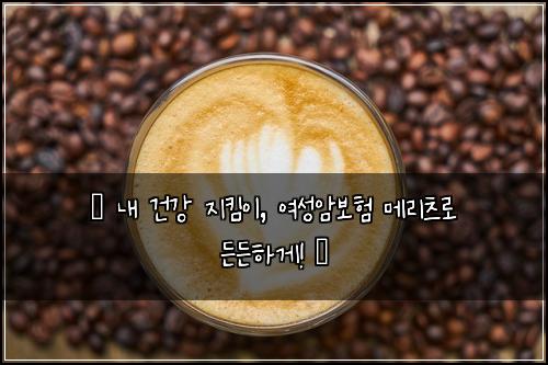  ✨ 내 건강 지킴이, 여성암보험 메리츠로 든든하게! ✨