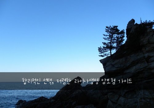  합리적인 선택, 저렴한 라이나생명 암보험 가이드
