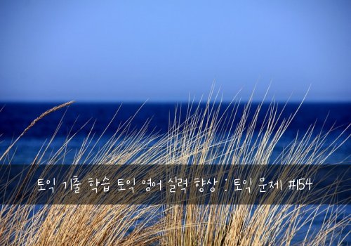 토익 기출 학습 토익 영어 실력 향상 : 토익 문제 #154