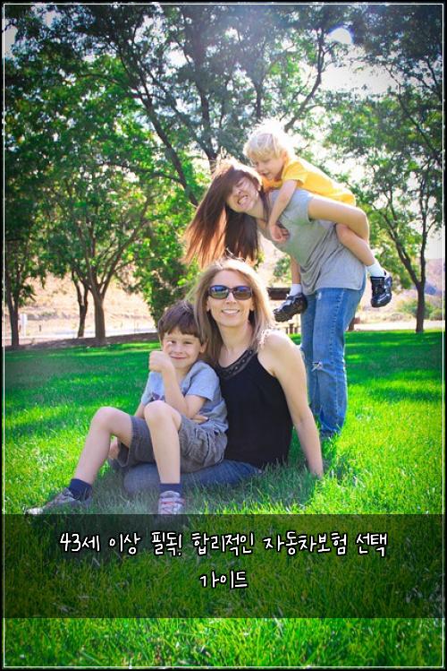  43세 이상 필독! 합리적인 자동차보험 선택 가이드