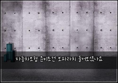 자동차보험 준비조건  보파라치 들어보셨나요