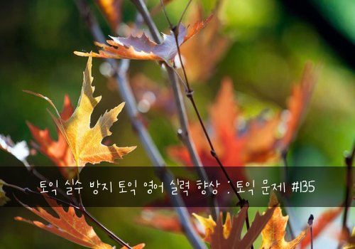 토익 실수 방지 토익 영어 실력 향상 : 토익 문제 #135