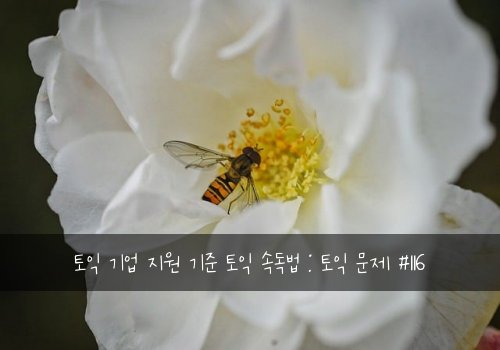 토익 기업 지원 기준 토익 속독법 : 토익 문제 #116