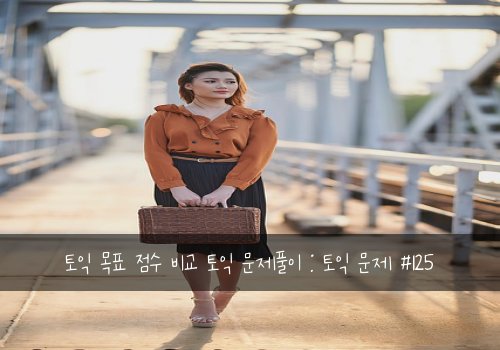 토익 목표 점수 비교 토익 문제풀이 : 토익 문제 #125