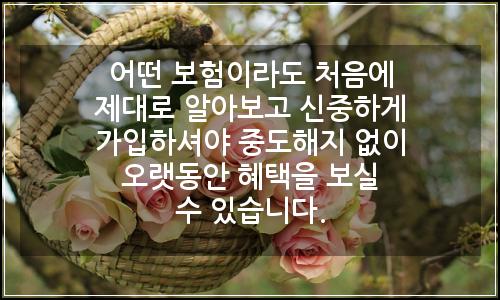 오늘의 이미지