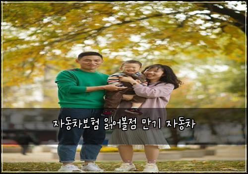 μλ차보ν μ½μ΄λ³Όμ λ§κΈ° μλμ°¨