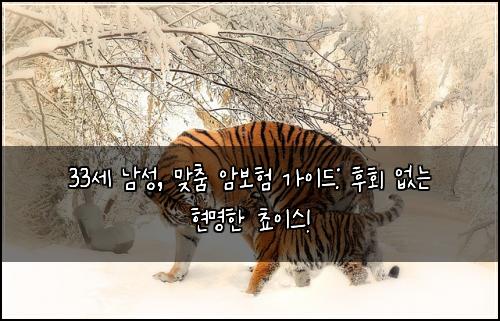33세 남성, 맞춤 암보험 가이드: 후회 없는 현명한 쵸이스!