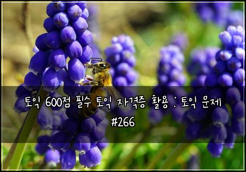 토익 600점 필수 토익 자격증 활용 : 토익 문제 #266