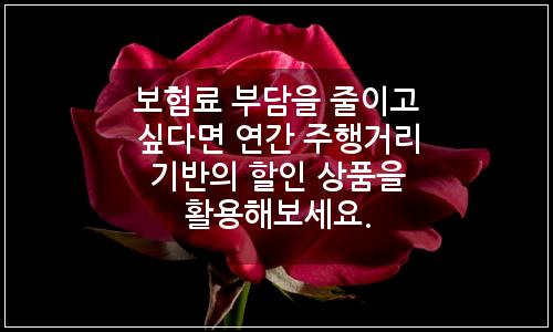 오늘의 이미지