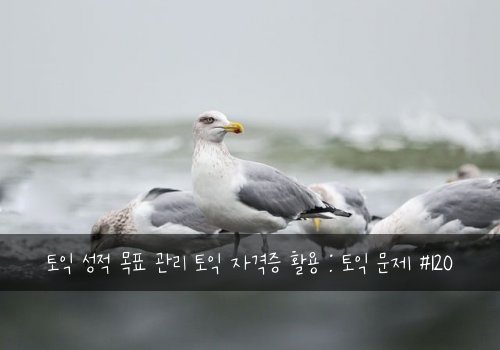 토익 성적 목표 관리 토익 자격증 활용 : 토익 문제 #120