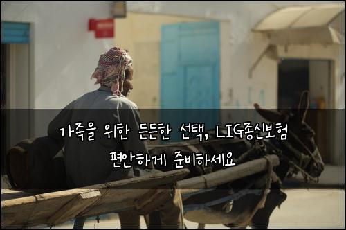  가족을 위한 든든한 선택, LIG종신보험 편안하게 준비하세요