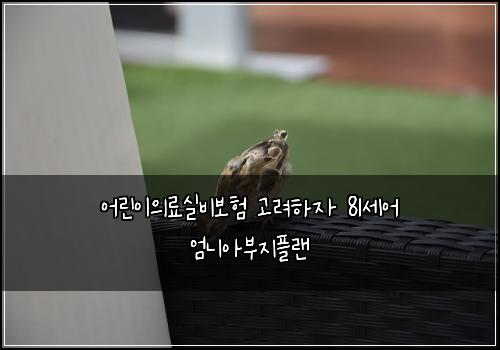 ์ด๋ฆฐ์ด์๋ฃ์ค๋น๋ณดํ ๊ณ ๋ คํ์ 81์ธ์ด ์๋์๋ถ์งํ๋