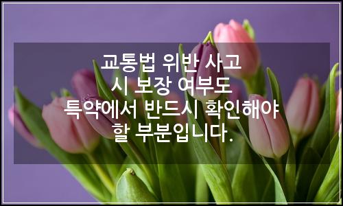 오늘의 이미지