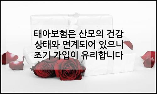 오늘의 이미지