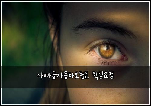 μλΉ λ€μλ차보νλ£ ν΅μ¬μμ 