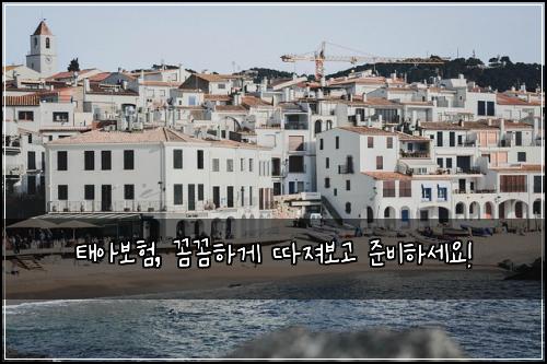 태아보험, 꼼꼼하게 따져보고 준비하세요!