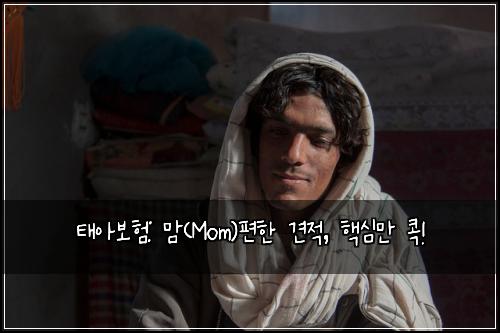 태아보험: 맘(Mom)편한 견적, 핵심만 콕!
