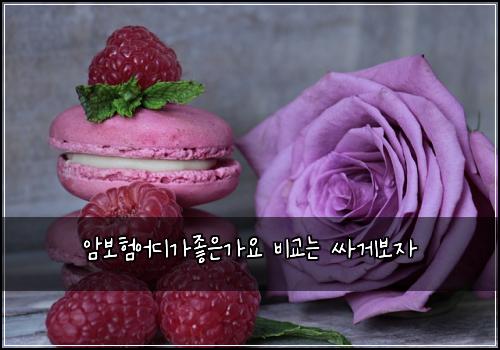 ์๋ณดํ์ด๋๊ฐ์ข์๊ฐ์ ๋น๊ต๋ ์ธ๊ฒ๋ณด์