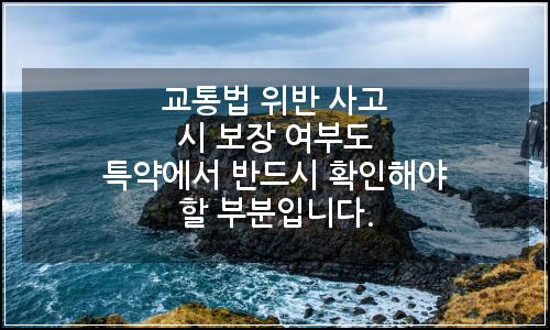 오늘의 이미지
