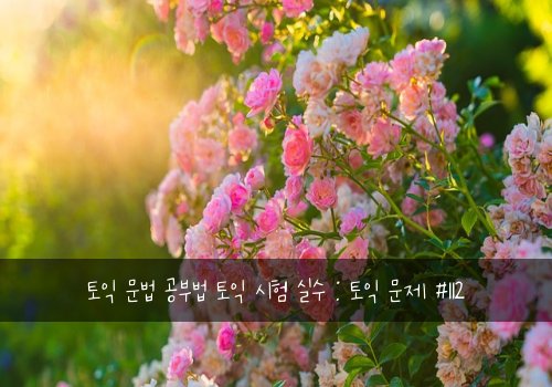 토익 문법 공부법 토익 시험 실수 : 토익 문제 #112