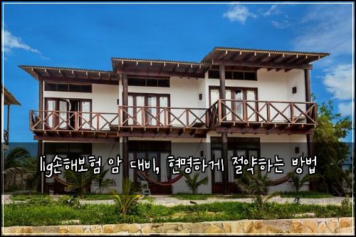  lig손해보험 암 대비, 현명하게 절약하는 방법
