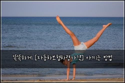 똑똑하게 [자동차보험차량가격] 아끼는 방법