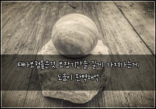 νμ보νμ’μκ² λ³΄μ₯κΈ°κ°μ κΈΈκ² κ°μ Έκ°λκ² λμμ΄ μλ²½ν΄μ