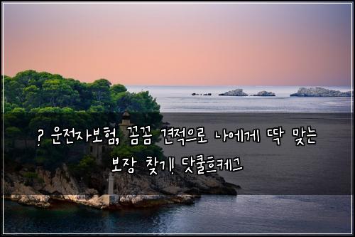  🚨 운전자보험, 꼼꼼 견적으로 나에게 딱 맞는 보장 찾기! 닷쿨흐케그