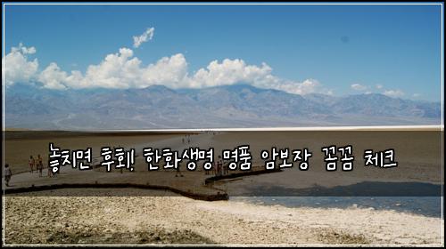 놓치면 후회! 한화생명 명품 암보장 꼼꼼 체크