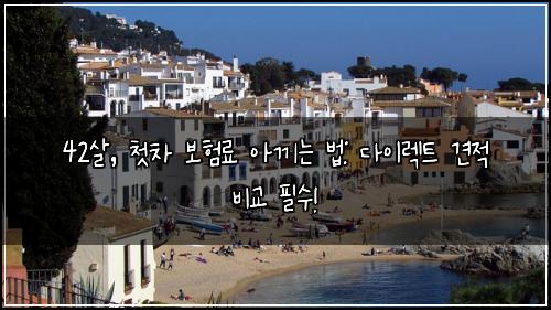 42살, 첫차 보험료 아끼는 법: 다이렉트 견적 비교 필수!
