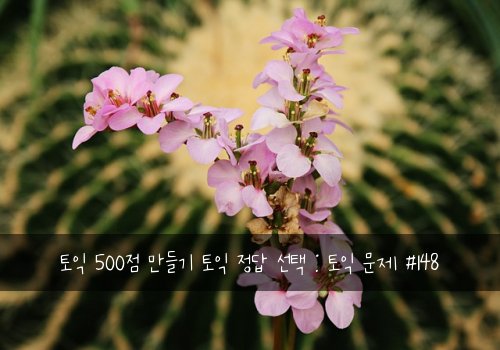 토익 500점 만들기 토익 정답 선택 : 토익 문제 #148
