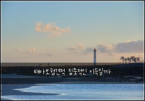태아보험견적 집중적인 이득일까