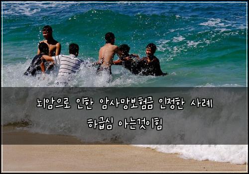 뇌암으로 인한 암사망보험금 인정한 사례 하급심 아는것이힘