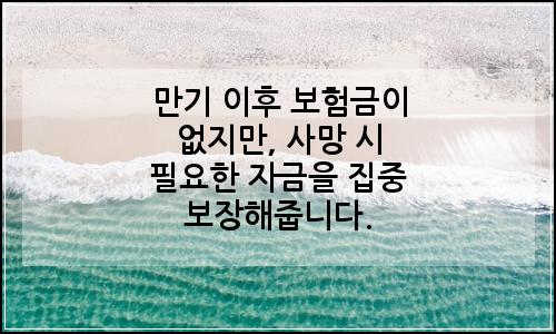 오늘의 이미지