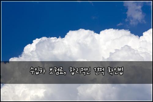 수입차 보험료, 합리적인 견적 확인법