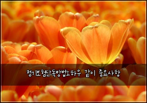 정기보험단독방법노하우 같이 중요사항