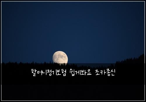 할머니정기보험 쉽게봐요  조카종신