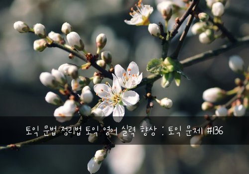 토익 문법 정리법 토익 영어 실력 향상 : 토익 문제 #136