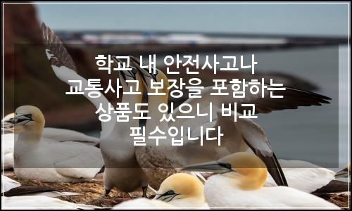 오늘의 이미지