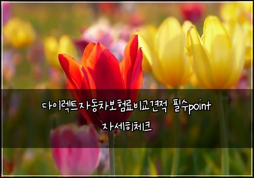 ๋ค์ด๋ ํธ์๋์ฐจ๋ณดํ๋ฃ๋น๊ต๊ฒฌ์ ํ์point ์์ธํ์ฒดํฌ