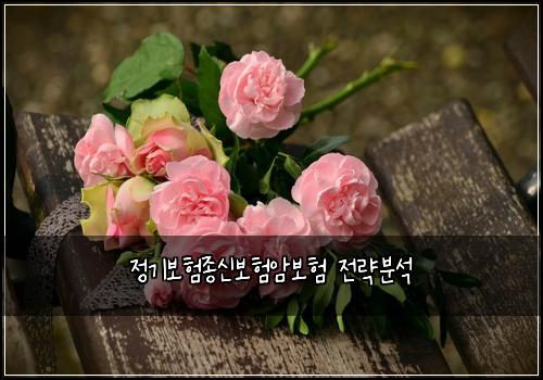์ ๊ธฐ๋ณดํ์ข
์ ๋ณดํ์๋ณดํ ์ ๋ต๋ถ์