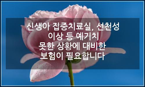 오늘의 이미지