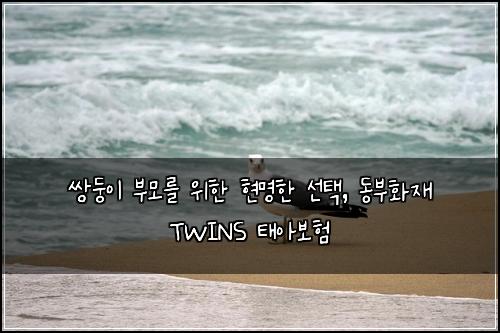 쌍둥이 부모를 위한 현명한 선택, 동부화재 TWINS 태아보험