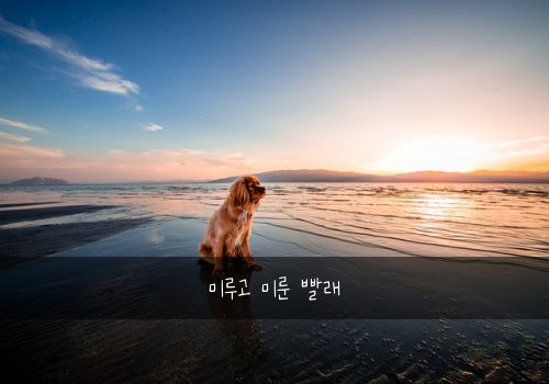 미루고 미룬 빨래