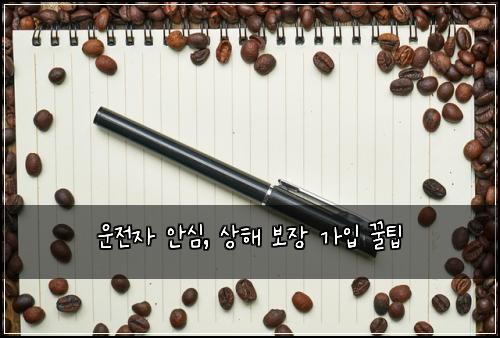 운전자 안심, 상해 보장 가입 꿀팁