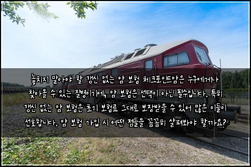  놓치지 말아야 할 갱신 없는 암 보험 체크포인트

암은 누구에게나 찾아올 수 있는 질병이기에, 암 보험은 선택이 아닌 필수입니다. 특히 갱신 없는 암 보험은 초기 보험료 그대로 보장받을 수 있어 많은 이들이 선호합니다. 암 보험 가입 시 어떤 점들을 꼼꼼히 살펴봐야 할까요?